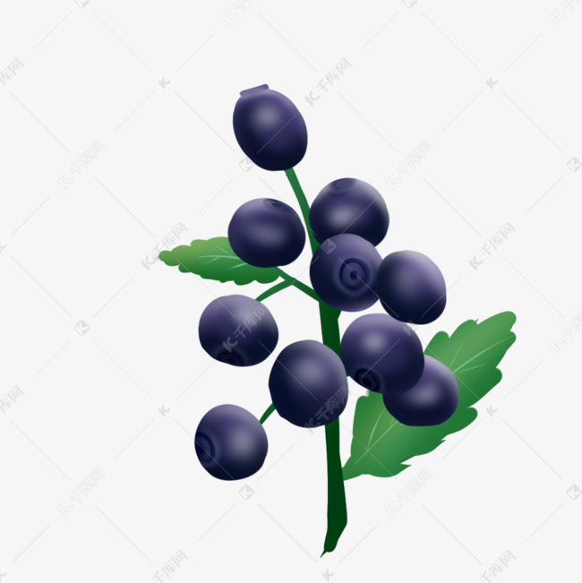 蓝莓卡通手绘树枝