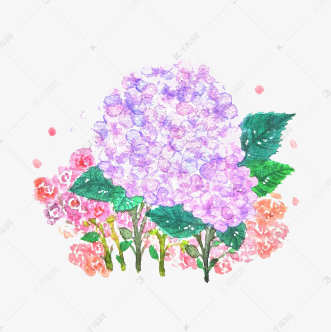 紫阳花水墨画素材图片免费下载 高清装饰图案psd 千库网 图片编号
