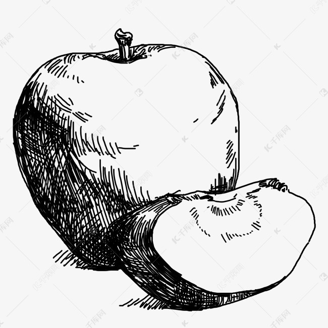 线描苹果手绘插画