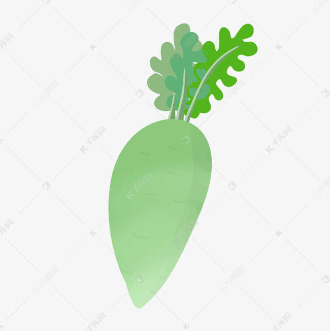 蔬菜青萝卜