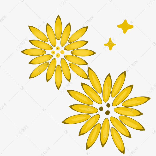 黄色的小花手绘插画