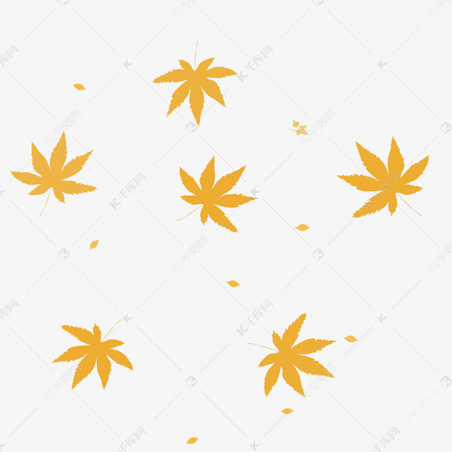 秋季黄色落叶插画