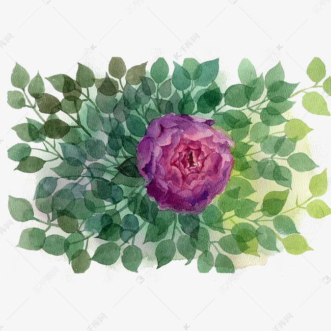 花朵小清新花草水彩花素材图片免费下载-千库网