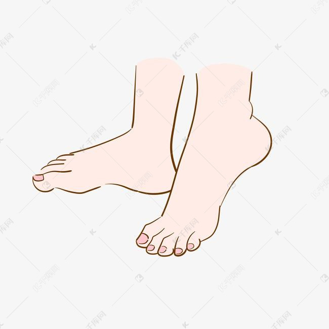 手绘人体器官脚插画