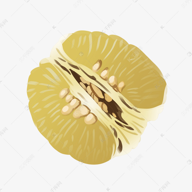 切开的美味柚子插画