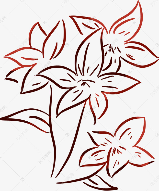 手绘线性四朵百合花