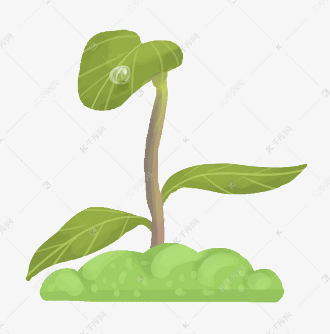 手绘发芽小树