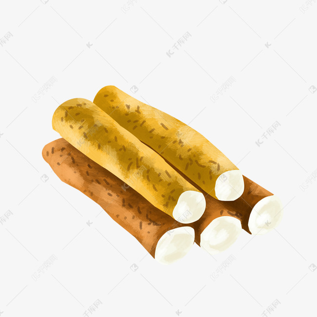 黄色的山药手绘插画