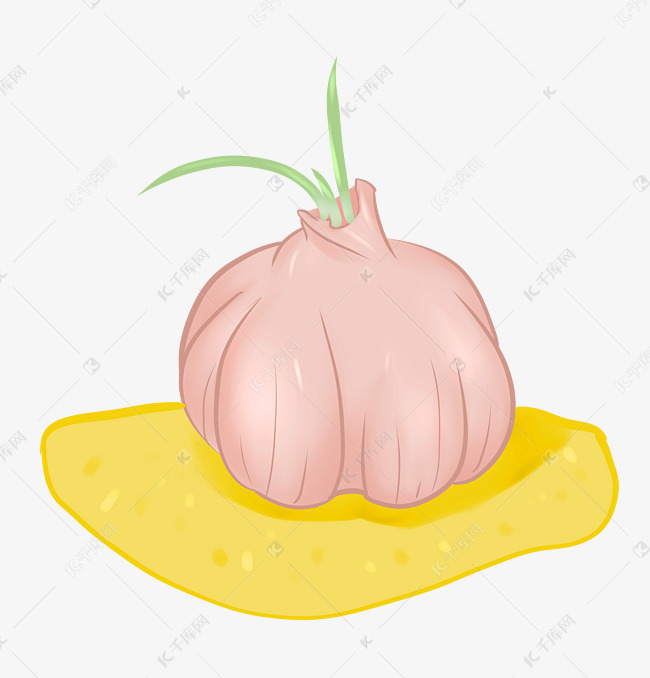 蒜的嫩芽手绘插画