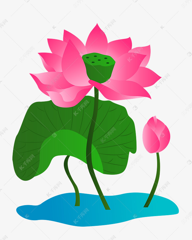 矢量卡通粉色荷花