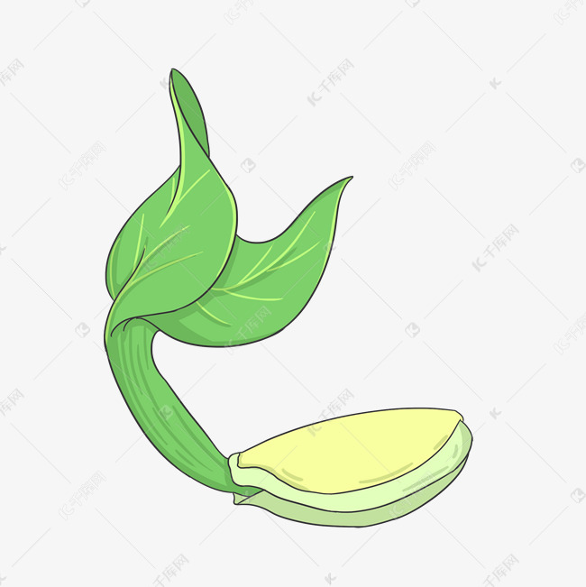 手绘南瓜发芽插画