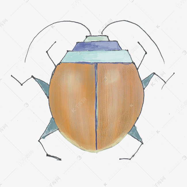 手绘小动物天牛png