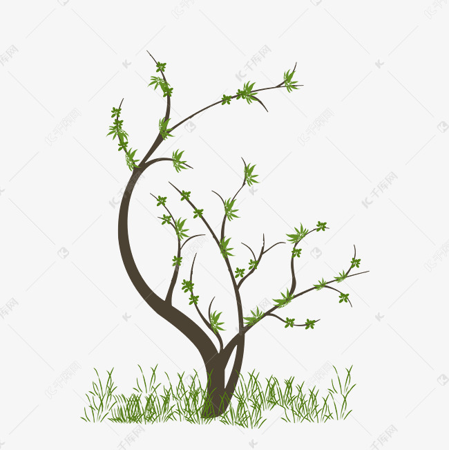 春天到了柳树发芽手绘插画