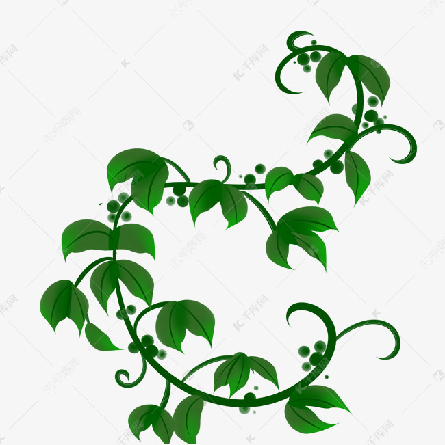 水彩绿色藤蔓植物