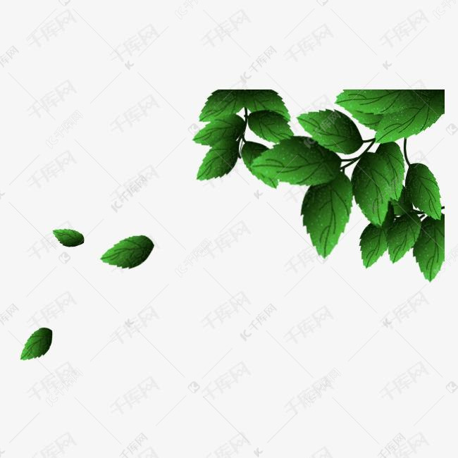 绿色树叶 png素材 清新 透明背景