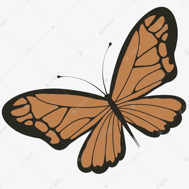 皇蛾阴阳蝶卡通插画