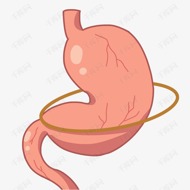 粉红色的胃部装饰插画