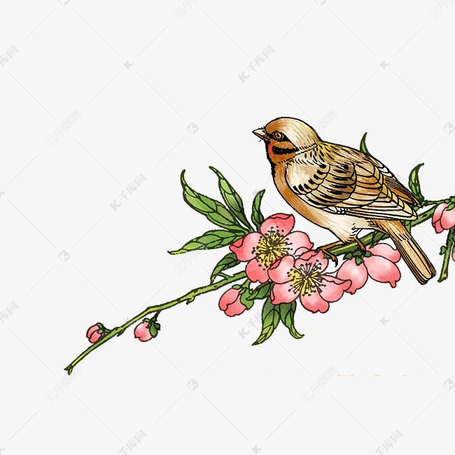 粉色桃花鸟水彩唯美清新绿叶与鸟素材图片免费下载 高清卡通手绘psd 千库网 图片编号