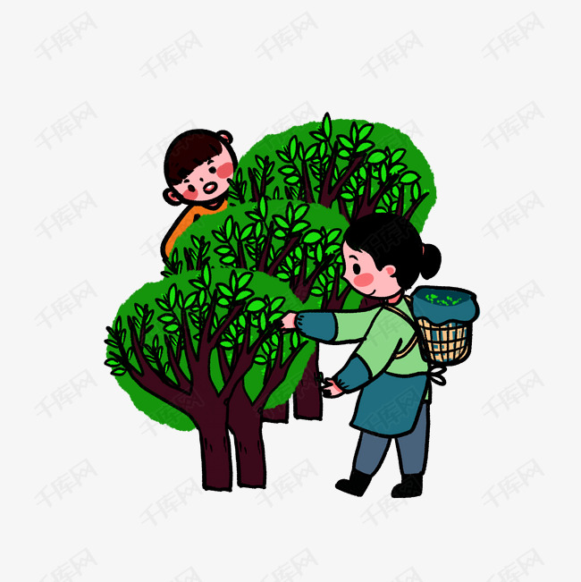 二十四节气习俗谷雨摘茶谷雨茶p
