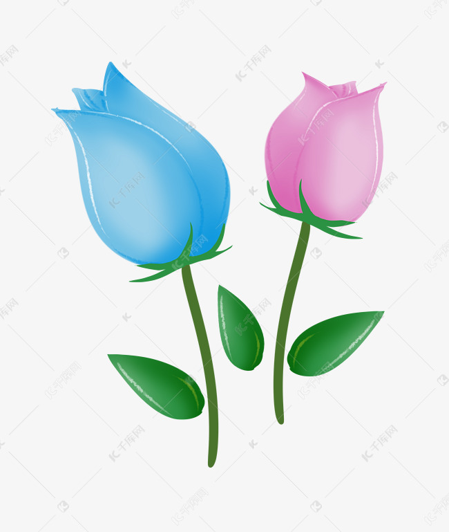 两朵花苞卡通插画