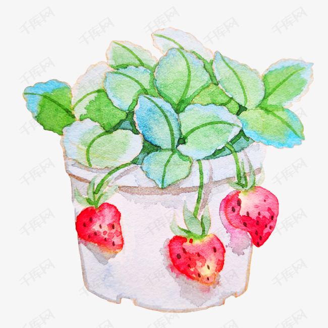 草莓盆栽装饰插画