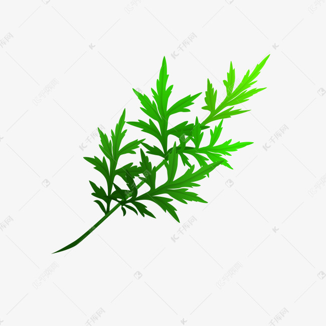 艾草叶子艾草png素材图片免费下载 高清卡通手绘psd 千库网 图片编号