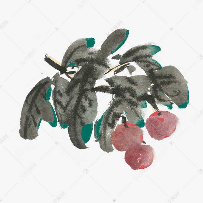 杨梅树水果素材2019-03-24发布,千库图片素材频道为