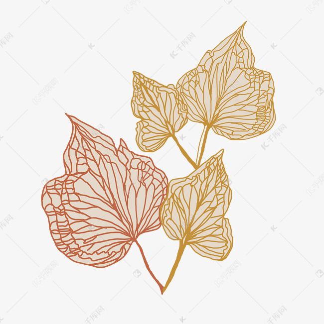 唯美叶子植物插画素材图片免费下载-千库网