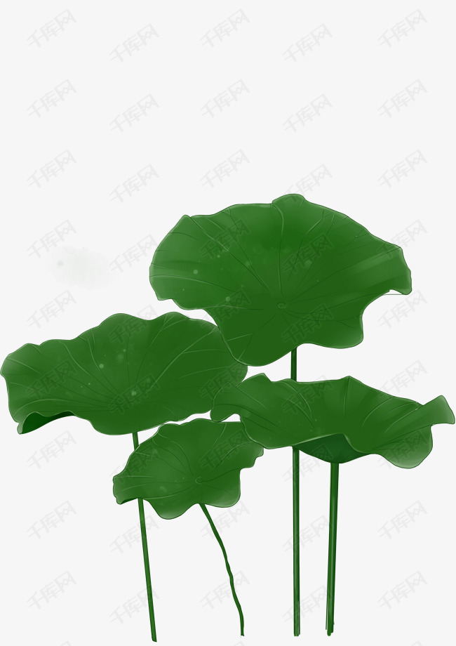夏季绿色手绘精致荷叶png素材