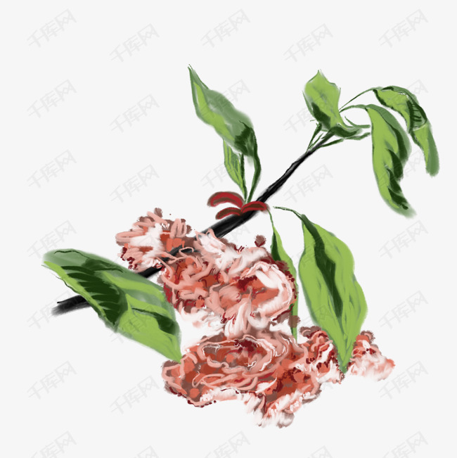 初春花花朵素材图片免费下载 高清装饰图案psd 千库网 图片编号 初春花花朵素材图片免费下载 高清装饰图案psd 千库网 图片编号