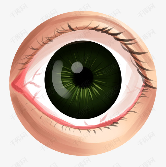 瞳孔器官卡通插画