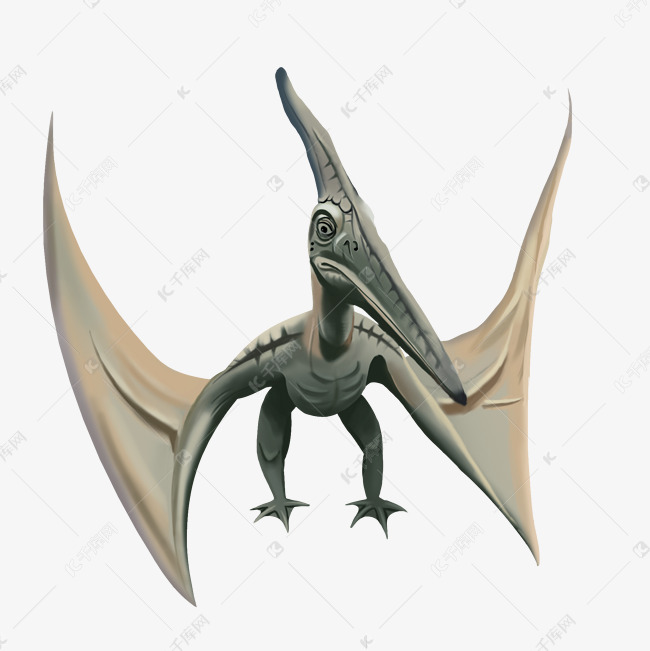 会飞的长嘴动物恐龙