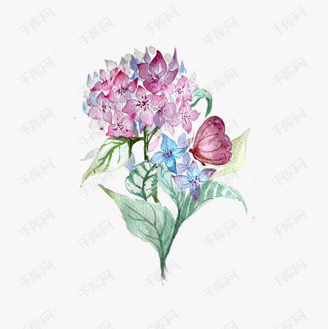 紫色紫罗兰紫红蝴蝶花卉绣球花紫阳花png素材图片免费下载 高清卡通手绘psd 千库网 图片编号 紫色紫罗兰紫红蝴蝶花卉绣球花紫阳花png素材图片免费下载 高清卡通手绘psd 千库网 图片编号