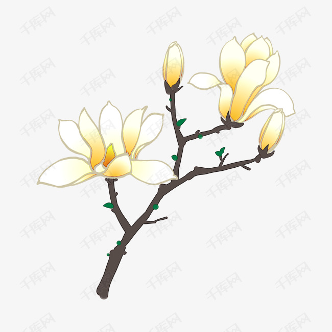 黄色玉兰花枝png素材