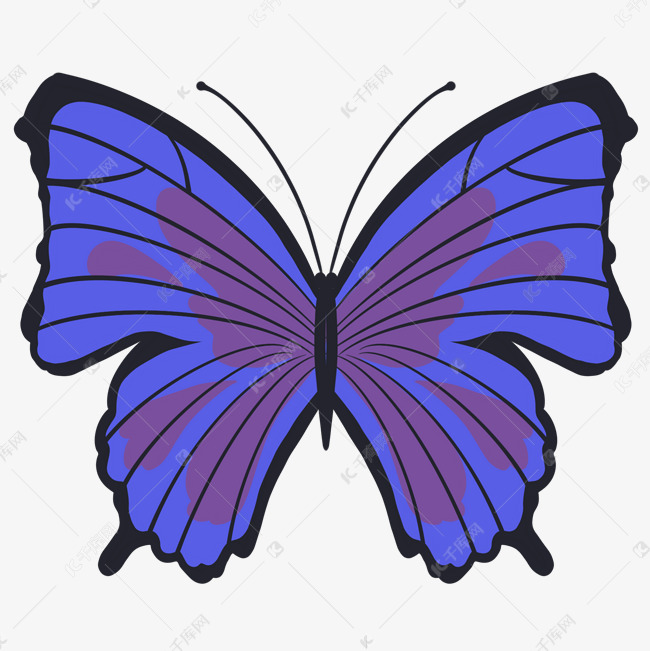 蓝色帝王蝶装饰插画