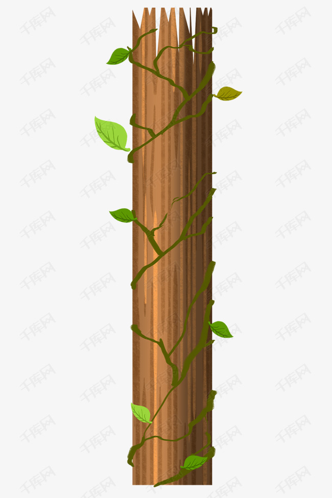 植物枝藤木头插画