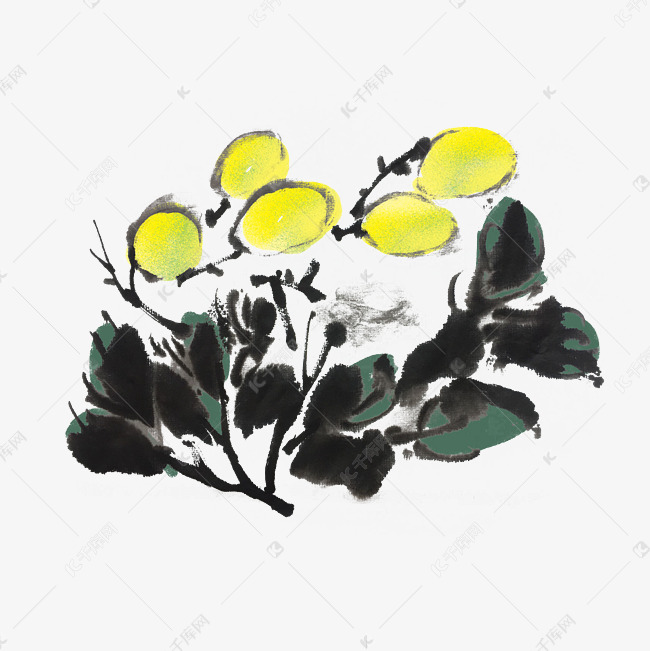 夏天水墨柠檬手绘插画