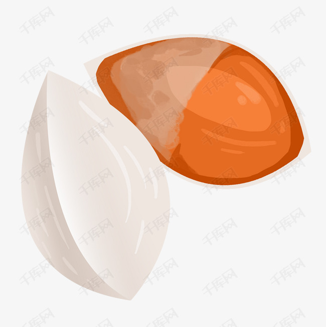 卡通美味白果插画