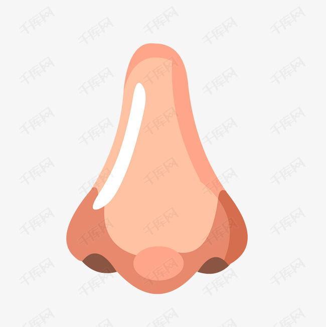 手绘器官人体五官鼻子肌肉结构