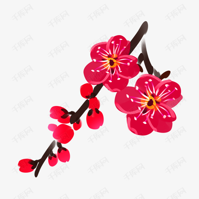 红色梅花