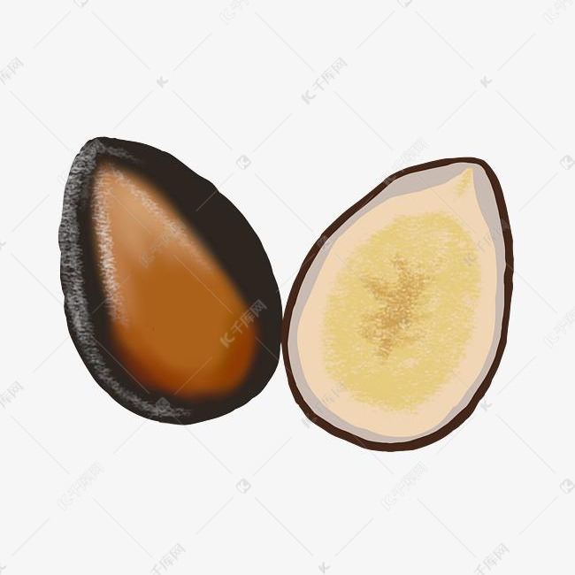 黑色西瓜籽卡通插画