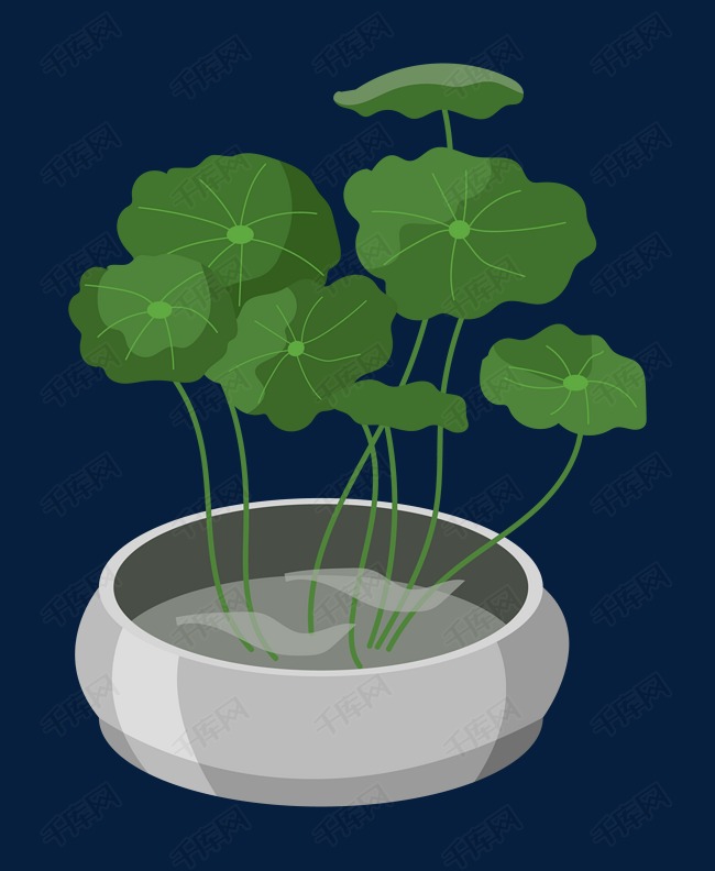 铜钱草绿植盆栽插画
