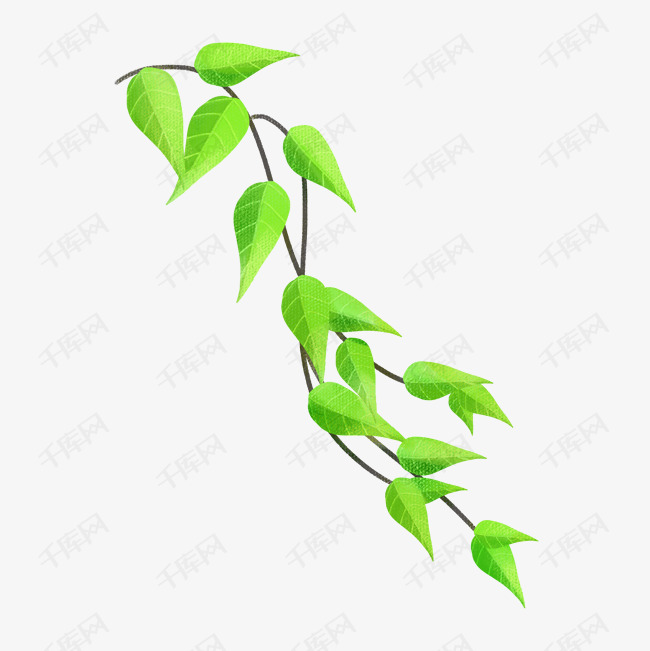 春夏藤蔓png素材