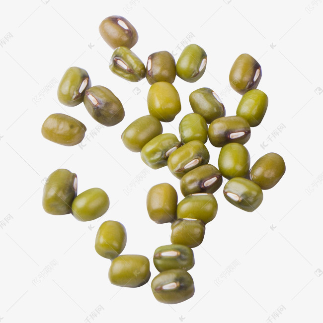 绿豆种子照片图片