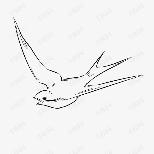 黑白春季燕子手绘