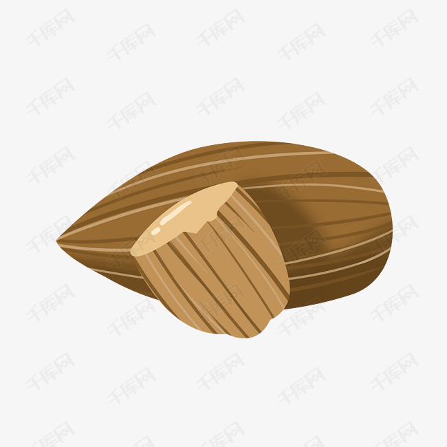 苦涩食材杏仁插画