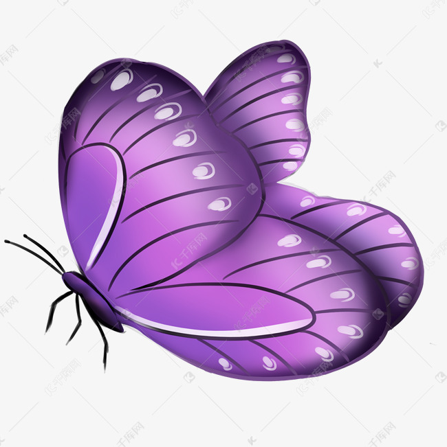 紫色蝴蝶简笔画图片