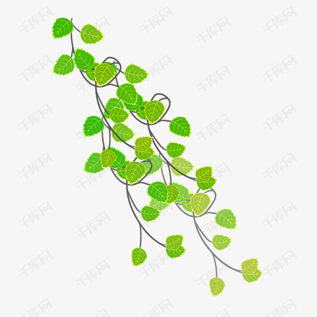 春夏绿色藤蔓png素材