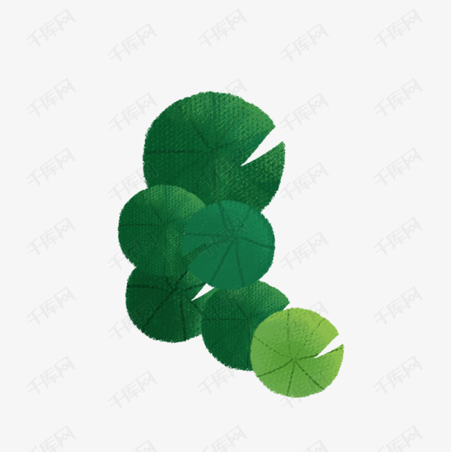 池塘里的荷叶免抠图