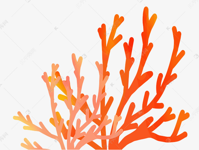 漂亮的红色珊瑚插图